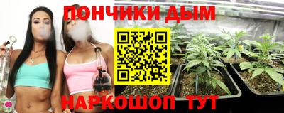 мет Дубна