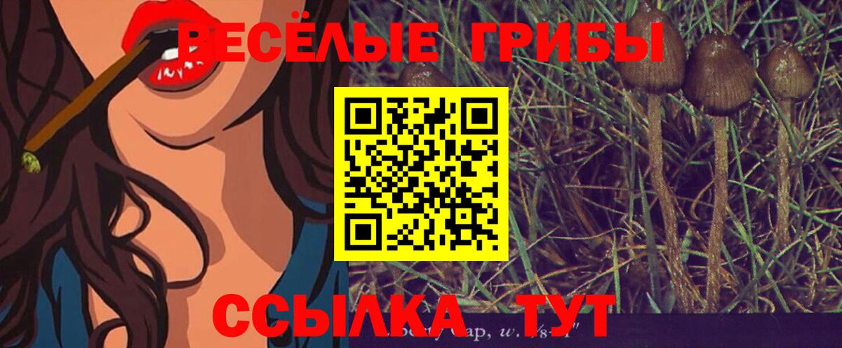 купить наркотики цена  Вход с VPN  Ленинск-Кузнецкий  Галлюциногенные грибы ЛСД 