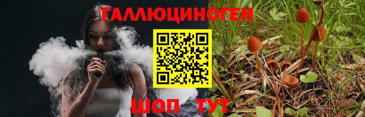Псилоцибиновые грибы MAGIC MUSHROOMS Ленинск-Кузнецкий